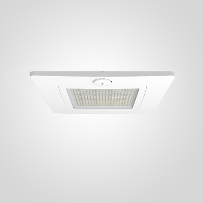 kupować Odlewanie do gadania Aluminiowe ciało i okładka PC Światło baldachim LED dla wilgotności 10-90% RH i zastosowań przemysłowych produkcja online