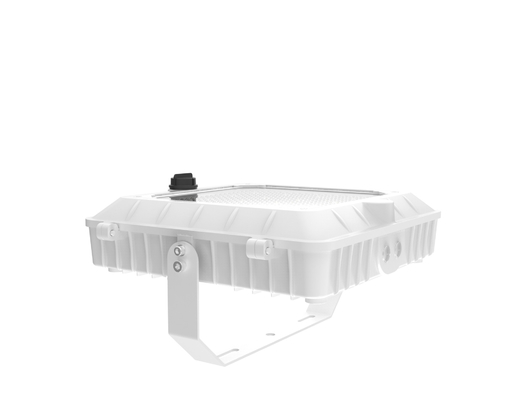 kupować 120-277V 50/60Hz Wpięcie wejściowe LED Światło baldachim z i odporność na uderzenia IK 07 W białym kolorze produkcja online